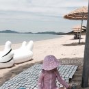 베베스텔라 이미지