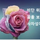 비단위의꽃
