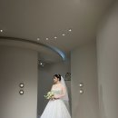 (주)에스닷 | [wedding-♥4] 라에스웨딩, 드레스초이스 하고 온 후기 !