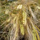 14-1코스 이미지