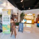 [카페투어] 성주 특산물 참외 ::카페옐롱:: 성주꿀참외빵 디저트💛