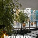 클럽 코코 관광나이트 | 클럽디오아시스 나이트 스파 이용 꿀팁 : 가성비 좋게 즐기는 해운대 찜질방부터 청수당 완벽 정복