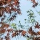 변호사박인욱법률사무소 이미지