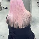 댕댕이묭실 | 묭실 유목민 생활 청산! 대구 핫플 유키니언 정착 각 잡았어요