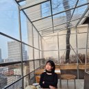 헤어그리다 | 그리다 청담 일반인 아이돌 촬영 헤어메이크업 내돈내산 비포 애프터 후기