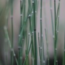 샘밑