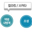 신비너스 이미지