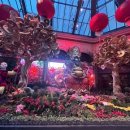 벨라지오호텔 이미지