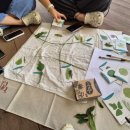 생태교육 | 자연에서 배우는 놀이 | 갯골생태공원 아이들과 즐기는 생태놀이 교육 후기