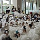 경희대강찬태권도 이미지