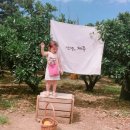 제주아이니 이미지