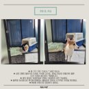 숙희네 개집 이미지