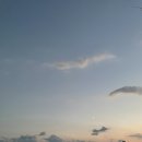 삼박한집 이미지