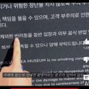 안내견 출입 가능 카페에서 퇴장권고받은 청각장애인 안내견 이미지