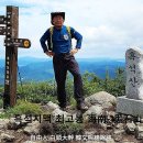 해남군-03 Daum카페