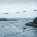 스테이서귀 이미지