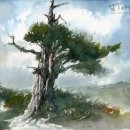 수채화(야간) 이미지