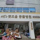 펫츠올 동물의료원 | ●창원동물병원-"펫츠올"모르면 간첩!!!^^●