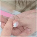 네일바르다 이미지