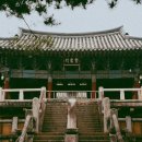 경주숲 3,4 네이버블로그