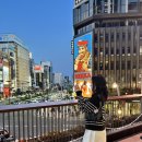 나일론 호보백 추천 레스포삭 블랙 샤인 스몰 컨버터블 호보백 내돈내산 후기