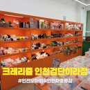 60계인천검단아라점 | 인천파충류 '파충류샵 크레리즘 인천검단아라점' 호텔링 후기!