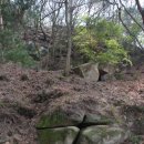 화산면614 이미지