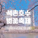 주정차단속-21 | 2026 석촌호수 벚꽃축제 방문 전 필독 개화상황 주차 총정리