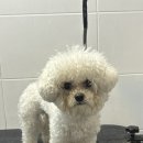 미니멍 살롱 이미지