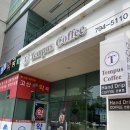 템푸스커피