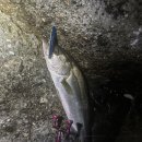 수장2농장 이미지