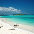 신기한 동식물여행 1 이미지