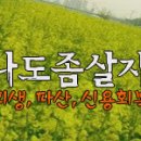 Re:신용회복위원회에 개인워크아웃을 진행 중인데도 개인회생 가능한가요? 이미지