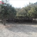파주6리 경로당 네이버블로그