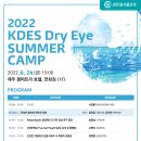 한국건성안학회