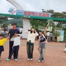 여가프로그램 - 함평나비축제 이미지