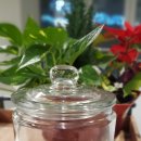 도락농장 이미지