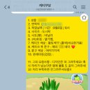 케이꾸당 이미지