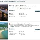모이레