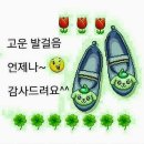 📣방뎅이단장님 8월20일~21일 군포반월호수 공연소식📣 이미지