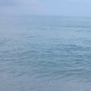 빅소 스테이 이미지