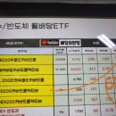 배당의 만장(유튜브) 이미지