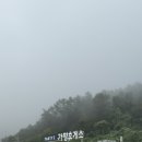 미사리세꼬시회 | 강원도 양양 1박2일 가족여행 일정 코스, 가보면 좋은 곳, 맛집 소개
