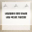 엘로이네일