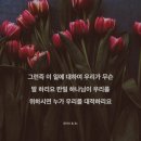 보리떡 다섯 개? 부산 명지 떡집 찾아 삼만리