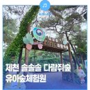 제천 솔솔솔 다람쥐숲 유아숲체험원