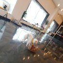 멍떼루와 이미지