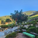 운수사약수터 이미지