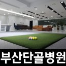 단골 닥터골프 이미지