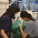 서울믿음치과의원 이미지